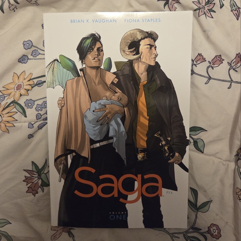 Saga Graphic Novel Volume One